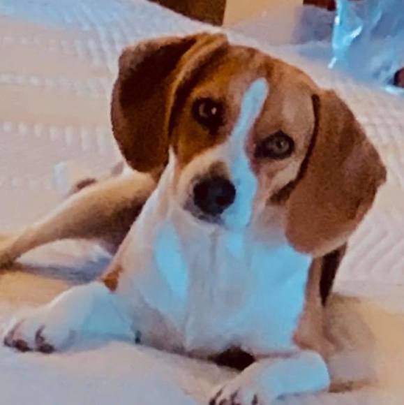 Meet your Posher, Pam - Picture 1 of 1